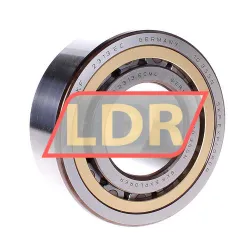 SKF NJ2313ECML