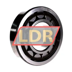 SKF NU321ECP