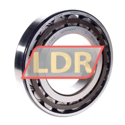 SKF N220ECP