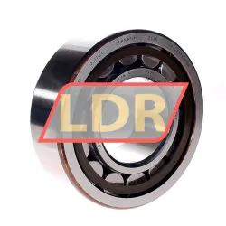 SKF NU2317ECP