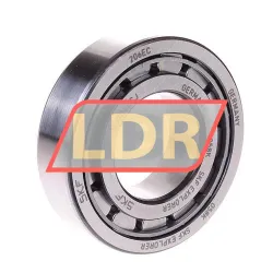 SKF NJ206ECJ