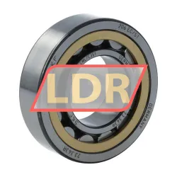 SKF NU206ECML/C3S1