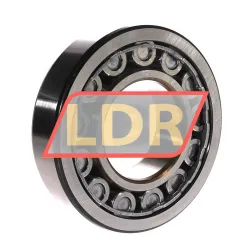 SKF NJ314ECJ/C3 rulman resim 2