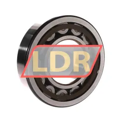 SKF NJ313ECP rulman resim 3