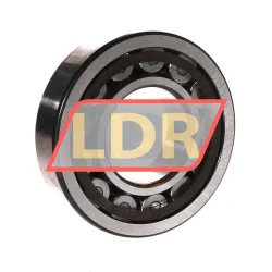 SKF NJ311ECP/C4 rulman resim 2