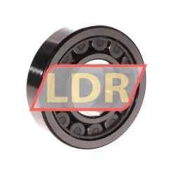 SKF NJ309ECJ rulman resim 2