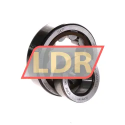 SKF NJ305ECP/C3 rulman resim 3