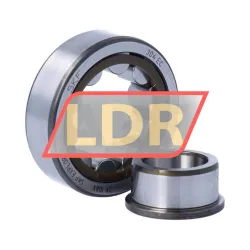 SKF NJ304ECP/C3 rulman resim 3