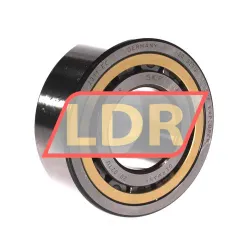 SKF NJ2311ECML/C3