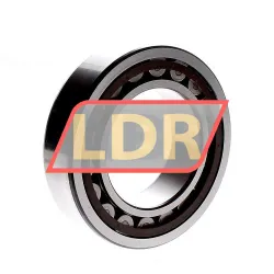 SKF NJ2215ECP rulman resim 2