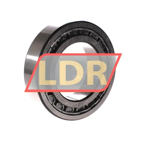 SKF NJ2215ECJ