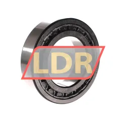 SKF NJ2215ECJ