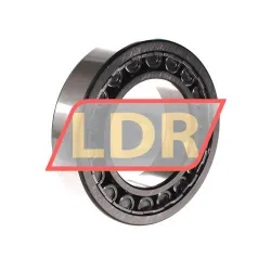 SKF NJ2215ECJ rulman resim 2