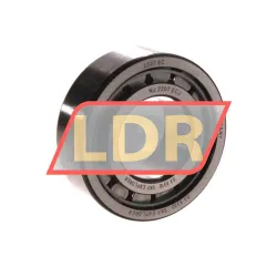 SKF NJ2207ECJ