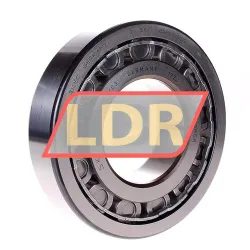 SKF NJ316ECJ/C3
