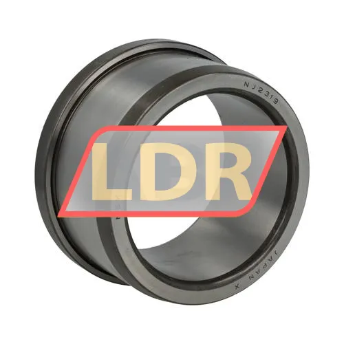 NSK LNJ2319W