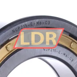 NKE NUP215-E-M6-C3 rulman resim 2