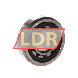 Nachi NU304EG rulman resim 2