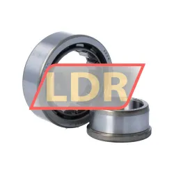 NSK NJ2206WC3 rulman resim 3