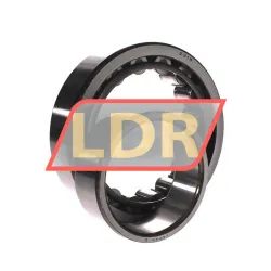 NSK NU2218W rulman resim 2