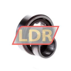 SNR NU204E G15 rulman resim 2