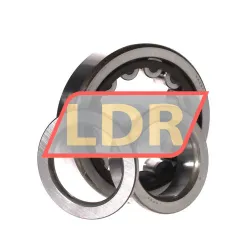 Nachi NUP310EG rulman resim 3