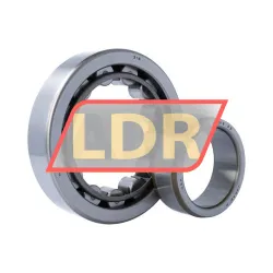 NSK NU318WC3 rulman resim 3