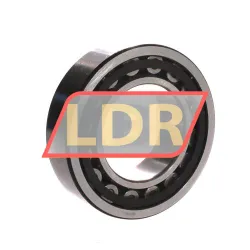 NSK NU2213ET rulman resim 2
