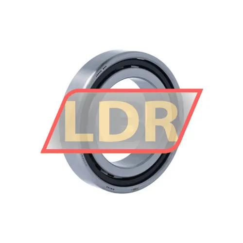 NSK N1011RXTPKRCC0P4Y ürün fotoğrafı 2