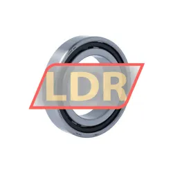NSK N1011RXTPKRCC0P4Y rulman resim 2