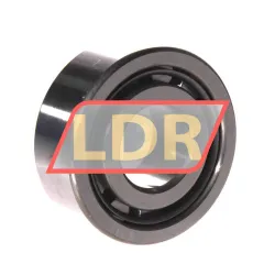 NSK NJ2306WC3 rulman resim 2