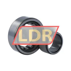 NSK NU2205WC3 rulman resim 3
