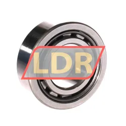 NSK NJ2207WC3 rulman resim 2