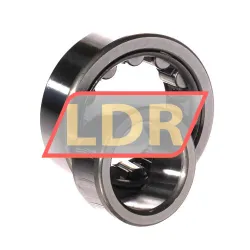 NSK NJ2207WC3 rulman resim 3