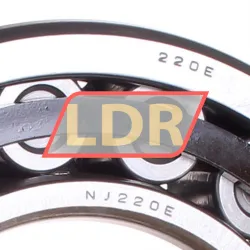 NSK NJ220ET rulman resim 2