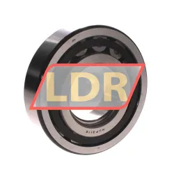 NSK NUP311ET rulman resim 2