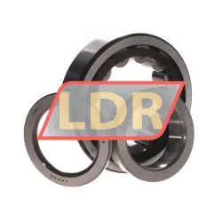NSK NUP311ET rulman resim 3