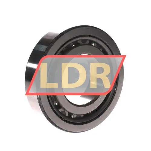 NSK NJ313W ürün fotoğrafı 2
