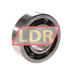 NSK NU2206W