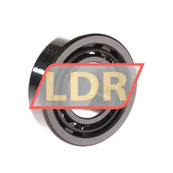 NTN NU206C3 rulman resim 2