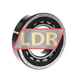 SNR NU209E G15 rulman resim 2