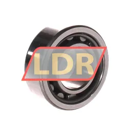 NSK NU2205W rulman resim 3