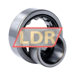 NSK NU2206WC3 rulman resim 3