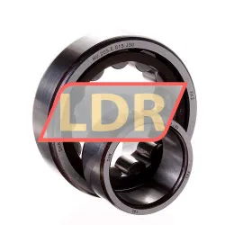SNR NU205E G15 J30 rulman resim 2
