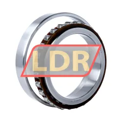NSK N1020BTKRCC9P4 rulman resim 2