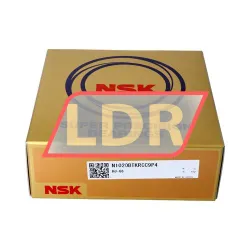 NSK N1020BTKRCC9P4 rulman resim 3