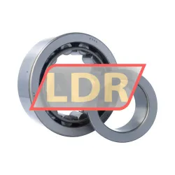 NSK NJ2320WC3 rulman resim 2