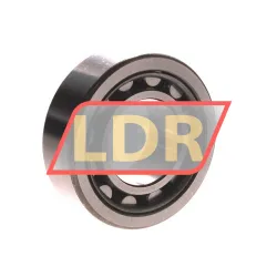NSK NU2207W rulman resim 2