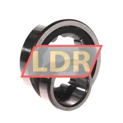 SNR NU309E G15 rulman resim 3