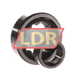 SNR NU305E G15 rulman resim 2